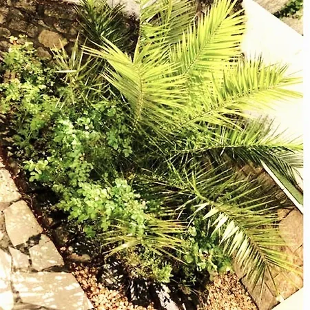 A 2 Pas De La De La Vallières Appartement *